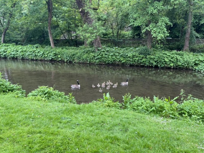 ashford-in-the-water10