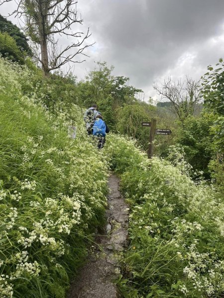 ashford-in-the-water19