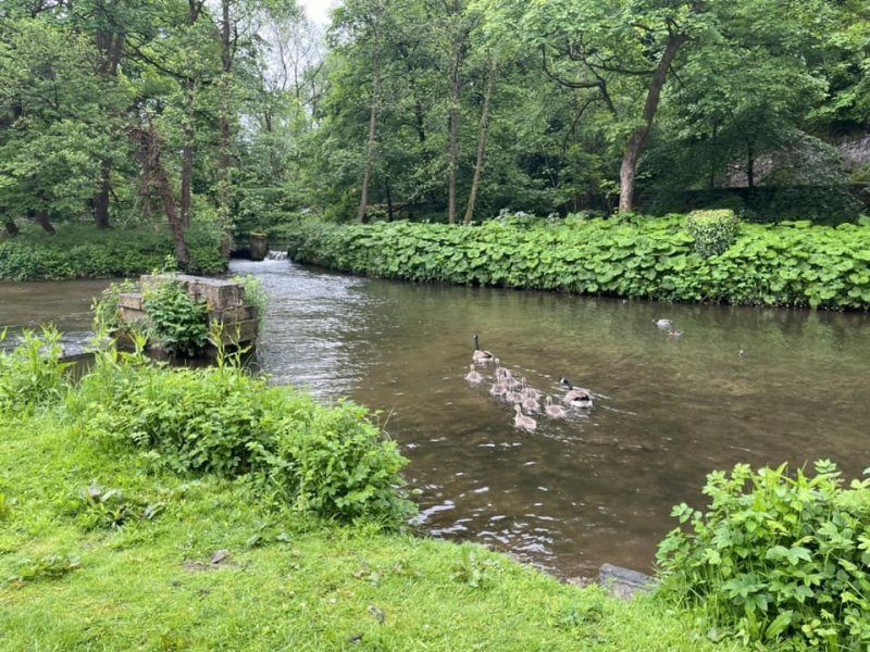 ashford-in-the-water8