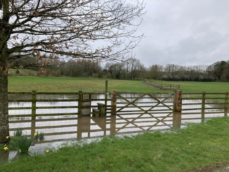 barton-marina3