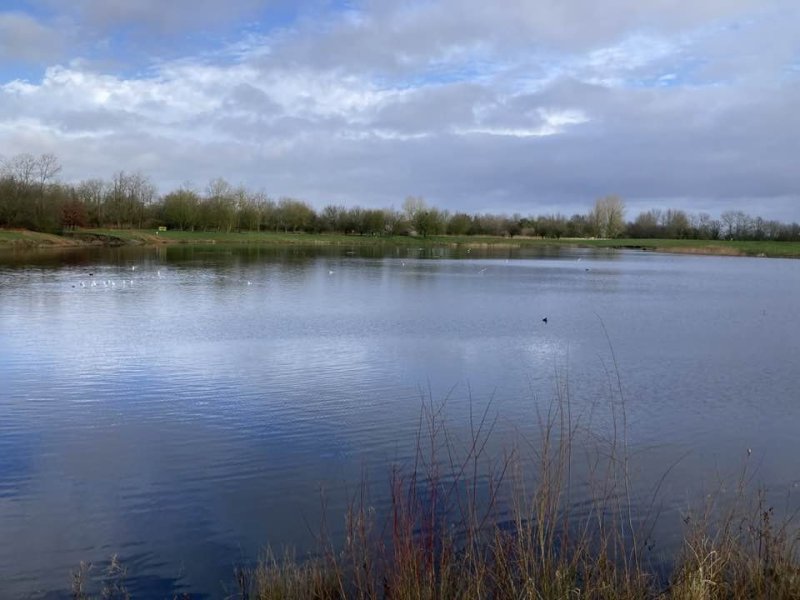 barton-marina8