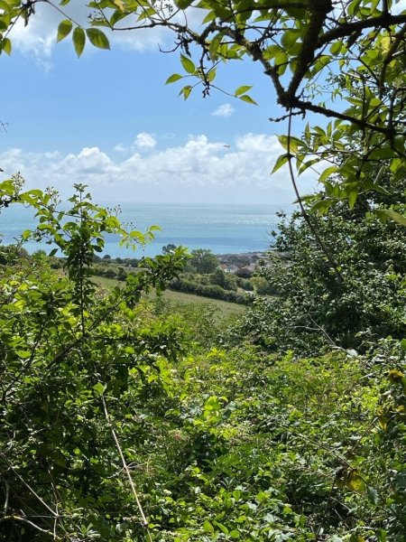 bournemouth38