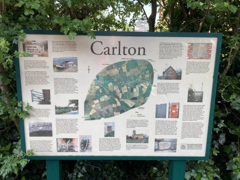 carlton7