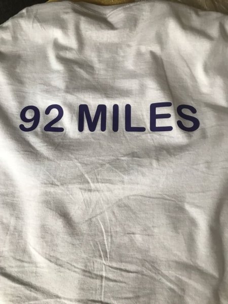 charity-walk4