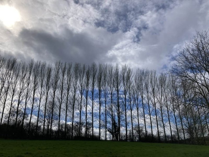 cloud-trail1