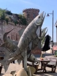 monmouth10