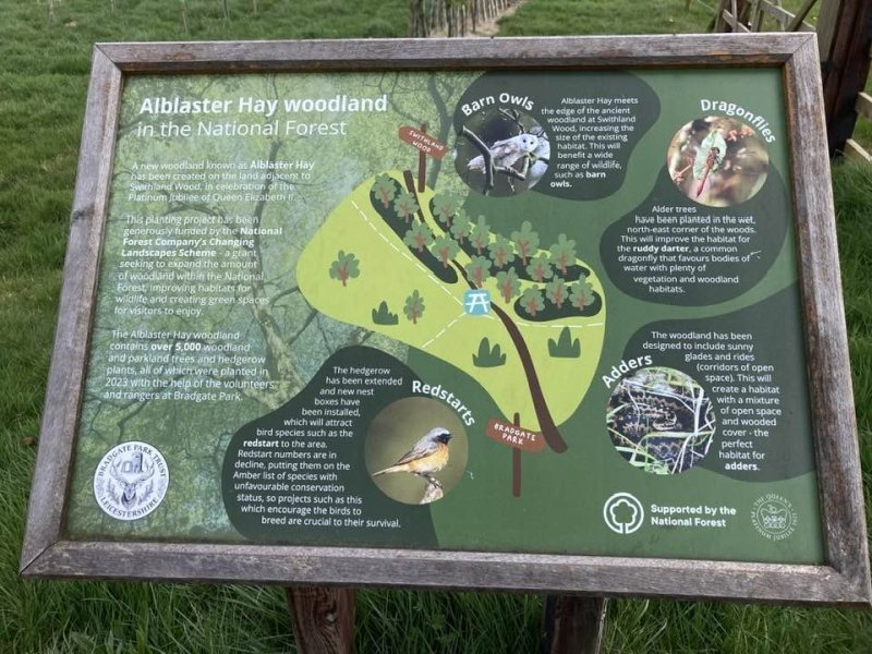 rothley-bradgate29