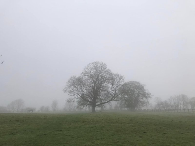 west-leake25