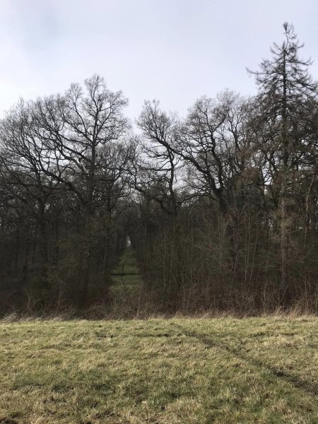 west-leake29