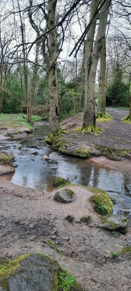 whitwick-apr24-3