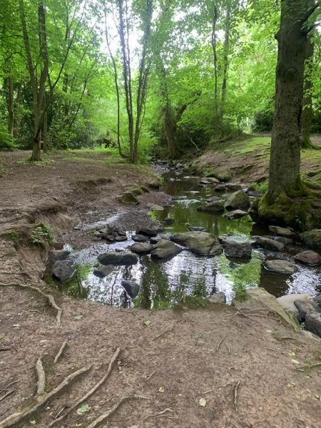 whitwick-jun24-3