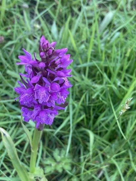 whitwick-jun24-5